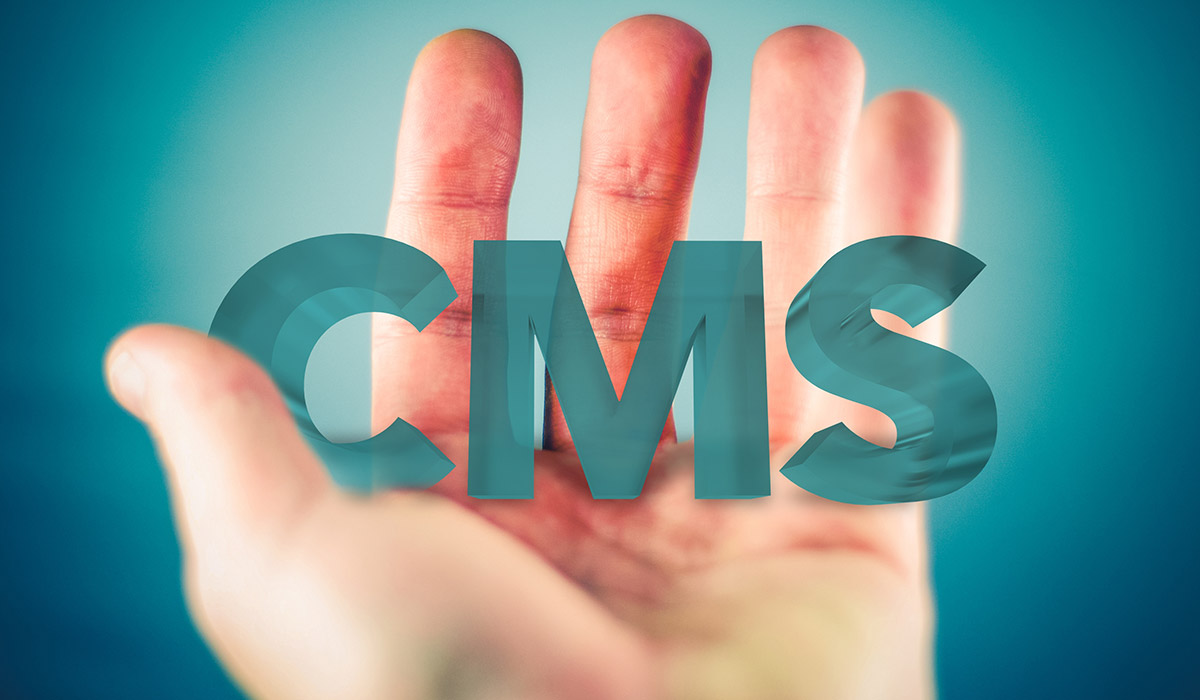 website CMS hand