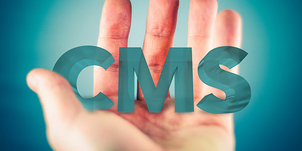 Website CMS in Hand